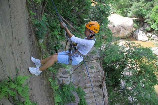 Canopy River